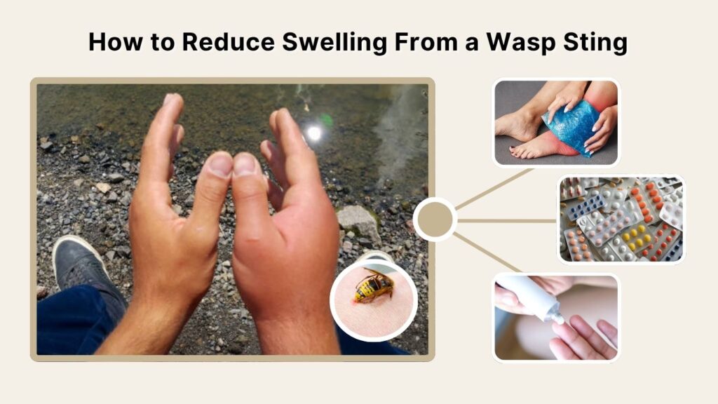 How to Reduce Swelling From a Wasp Sting