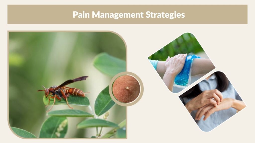 Pain Management Strategies