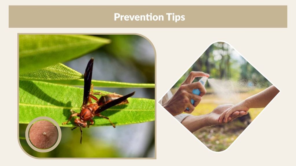 Prevention Tips
