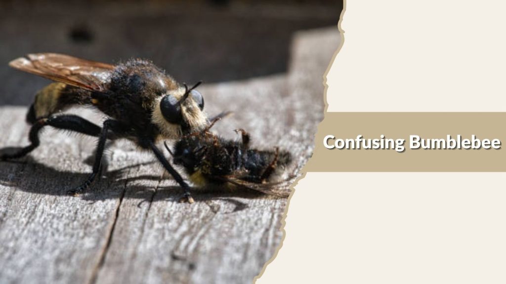 Confusing Bumblebee