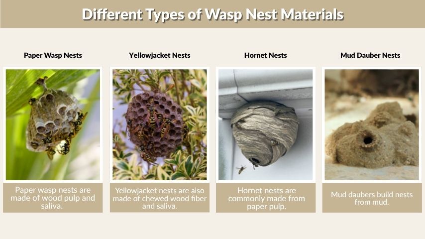 Different Types of Wasp Nest Materials