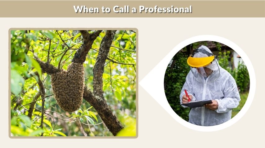 When to Call a Professional