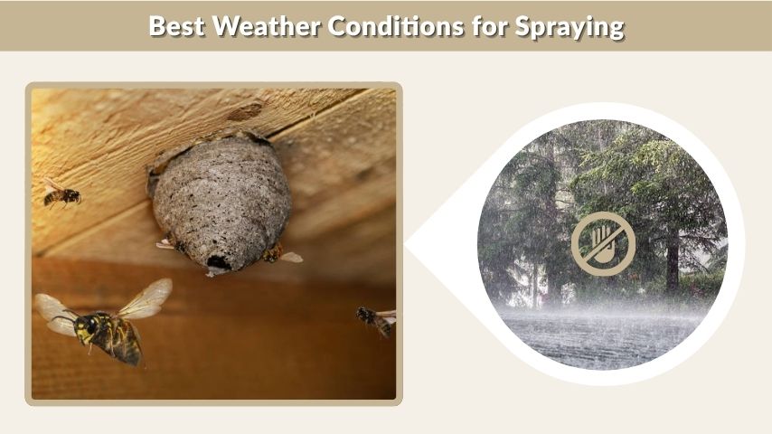 Best Weather Conditions for Spraying