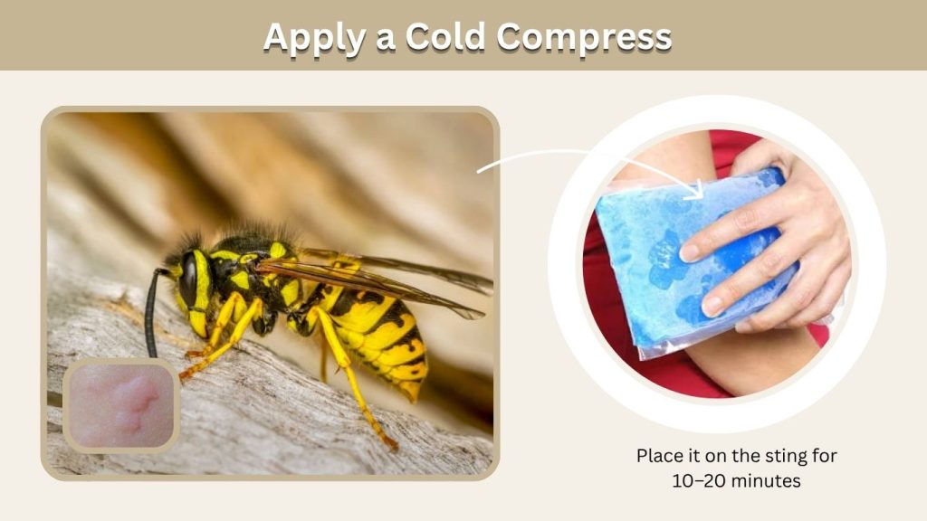 Apply a Cold Compress