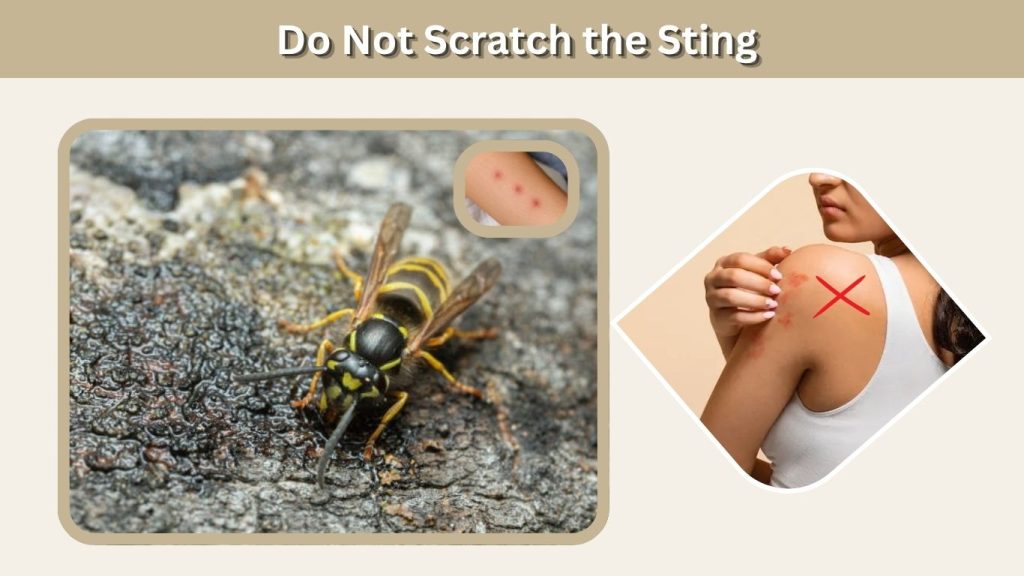 Do Not Scratch the Sting