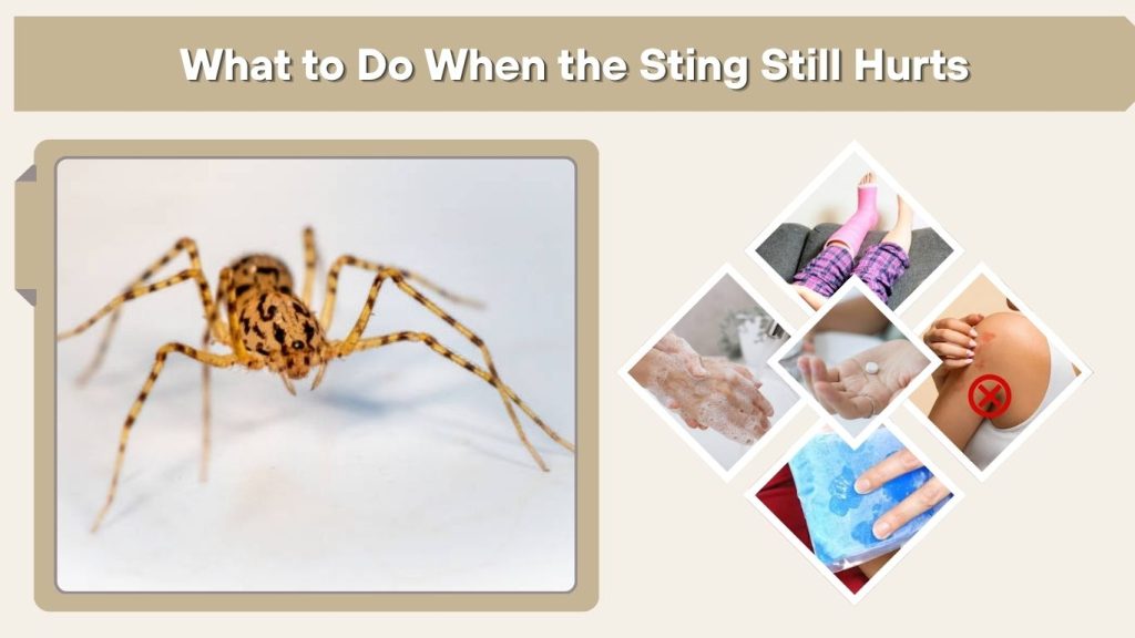 What to Do When the Sting Still Hurts