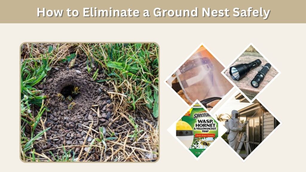 How to Eliminate a Ground Nest Safely