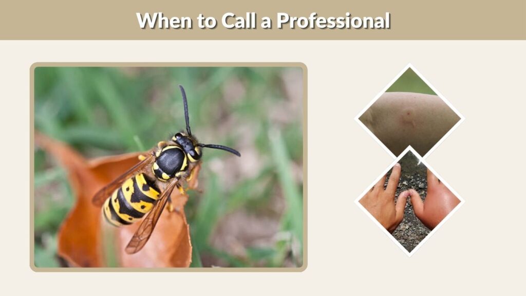 When to Call a Professional