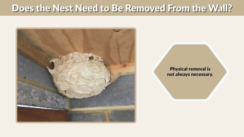 Does the Nest Need to Be Removed From the Wall?