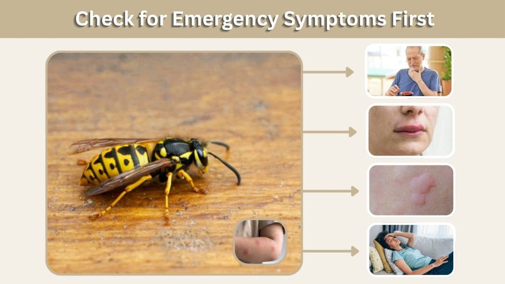Step 2: Check for Emergency Symptoms First