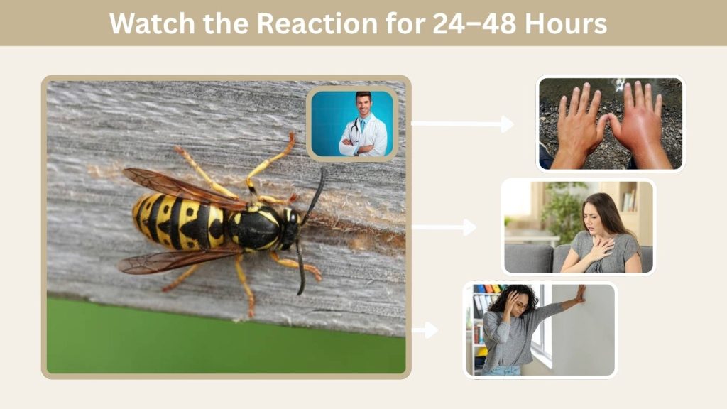 Watch the Reaction for 24–48 Hours