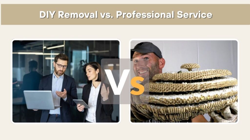 DIY Removal vs. Professional Service