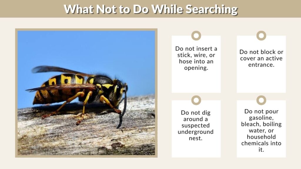 What Not to Do While Searching