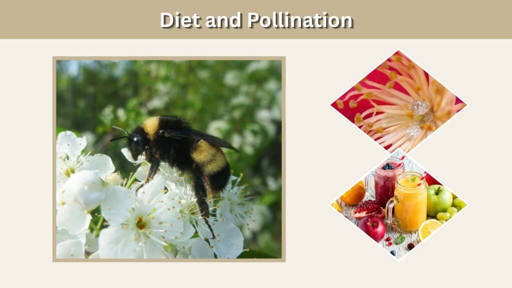 Diet and Pollination