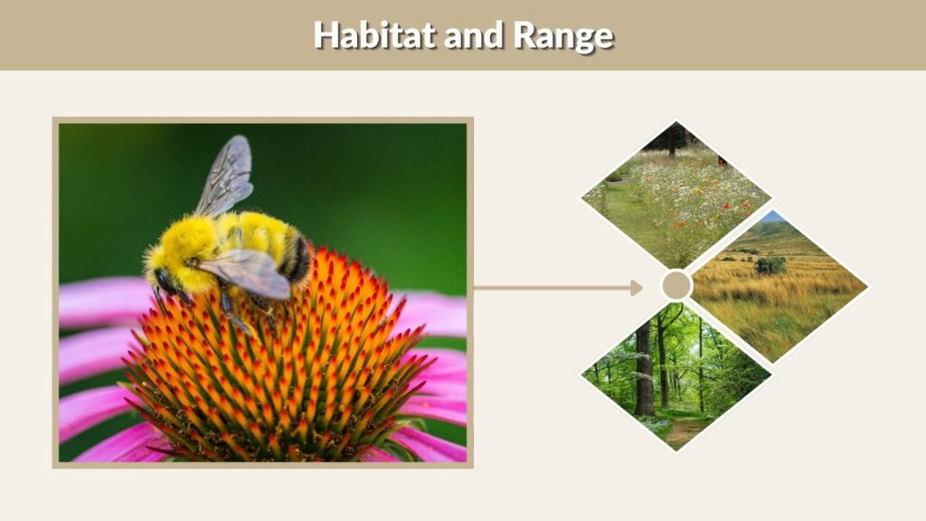 Habitat and Range