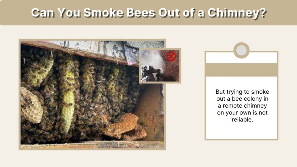 Can You Smoke Bees Out of a Chimney?