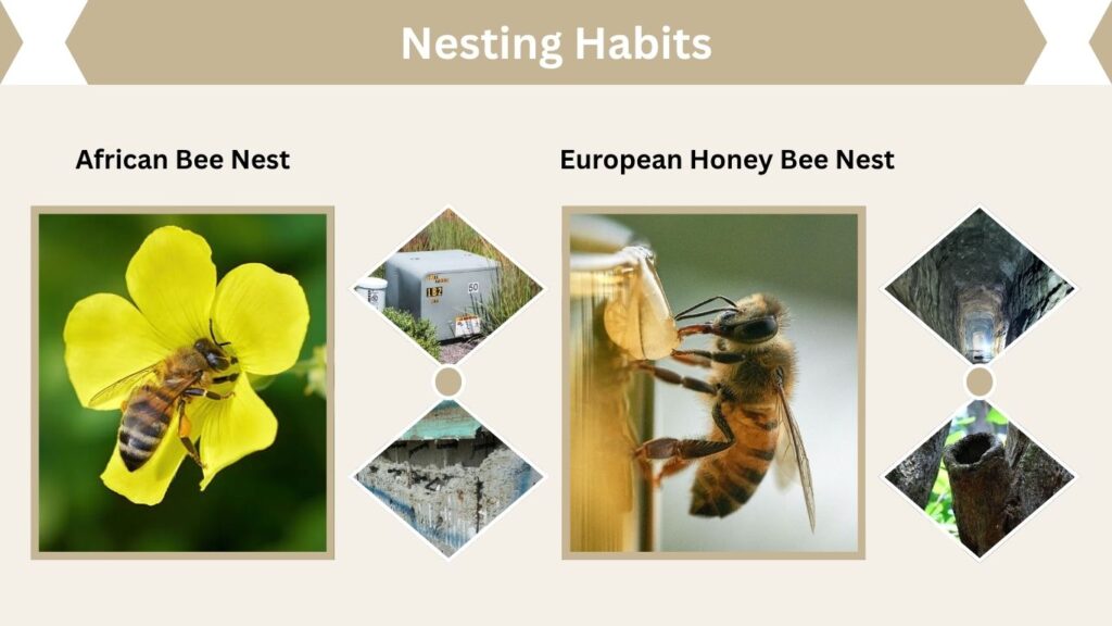Nesting Habits