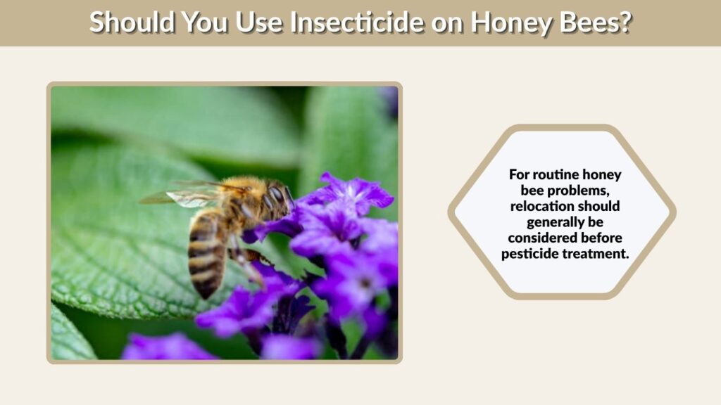 Should You Use Insecticide on Honey Bees?