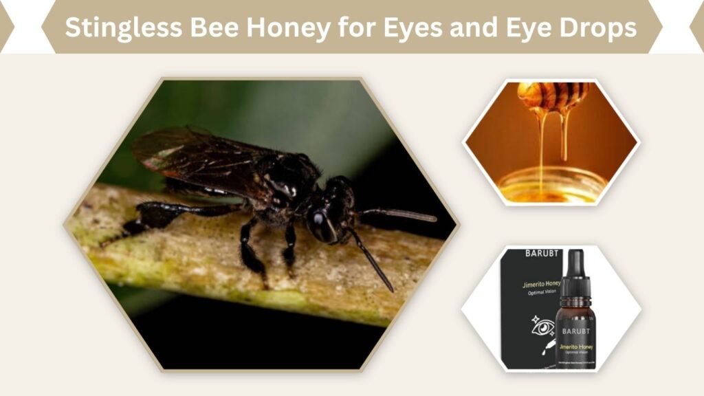 Stingless Bee Honey for Eyes and Eye Drops