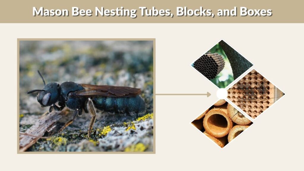 Mason Bee Nesting Tubes, Blocks, and Boxes